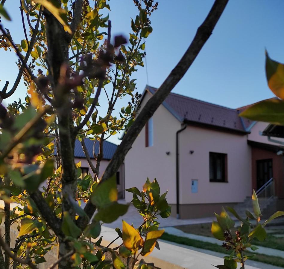 Agroturizam Opg Jakopovic Caglin Exteriér fotografie